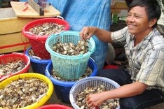Biggest crab market in Mekong Delta
