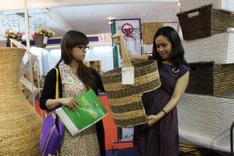 EU continues to offer Vietnam import tariff incentives