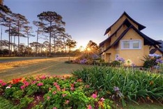Đà Lạt becomes a homestay delight