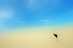 Vietnamese photographer wins silver at prestigious contest