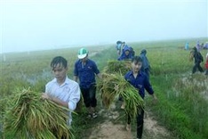 Consultation spotlights policies on youth’s voluntary activities