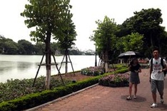 936 Hanoi streets to feature natural stone