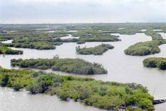 National biodiversity database takes shape