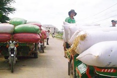 Speculators pounce on rice market as prices rise