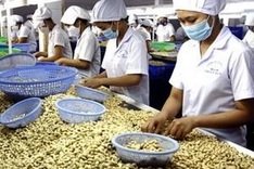 Vietnam’s 2012 economy to grow by 5.2 percent - forum
