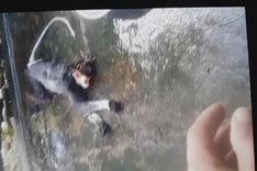 Investigation launched into monkey killing posted on Facebook