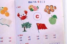 Former official condemns children’s book for containing Chinese flag