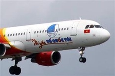 Free flight brings families together for Tet