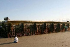 Huge Japan tsunami dock washes up on US beach