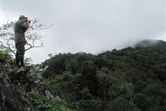 Central province to protect endangered langurs