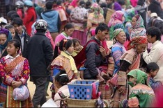 Highlands market on Tet