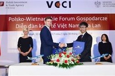 Vietnam, Polish airlines ink cooperation agreement