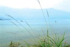 Golf courses – a boon or bane?