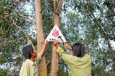 Six provinces declare top forest fire risk alert