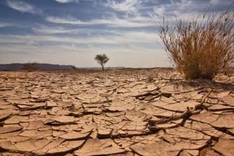 National climate change strategy announced