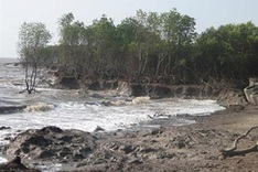 Erosion hits thousands all over Mekong Delta