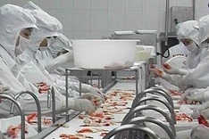 Seafood business debts leaving farmers in the lurch