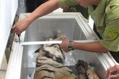 Nation denies WWF claim of negligence