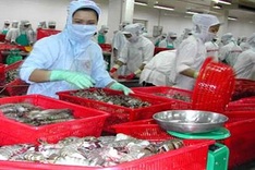 Vietnam’s seafood export sector to face challenges in 2012