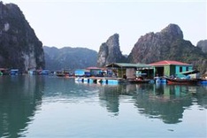 Ha Long relocates houseboat dwellers