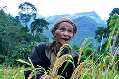Elderly man lives hermit life in Quang Ngai forest