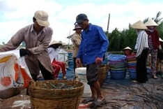 Pollution chases, besieges, kills aquaculture