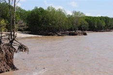 40% of Mekong Delta could be flooded this century