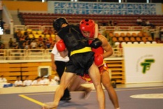 Wushu artists take home medals