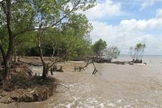 Sea encroachment threatens Tien Giang residential areas