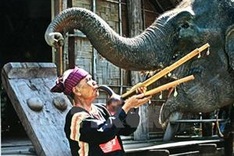 Photo exhibition on ethnic groups invites entries