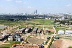 Land-use review tipped to help management