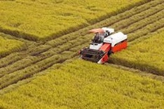 Mekong Delta to receive investment boost