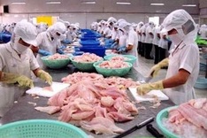 Fisheries against current safety inspection system