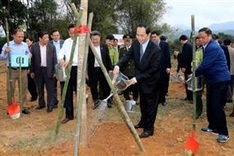 President launches tree-planting festival