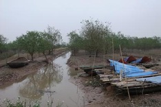 PM to chair meeting on forcible evacuation in Haiphong