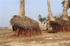 Human activity driving climate change: leaked report