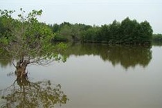 Community key to fighting climate-change