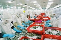 Seafood products face more EU safety warnings