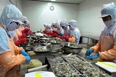 Nine-month import–export revenue reaches over US$253 billion