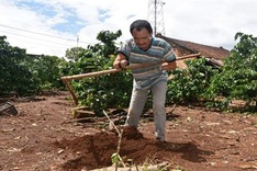 Ailing couple in Gia Lai in desperate need of help