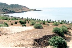 Experts discuss measures against desertification