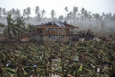 Typhoon reduces Philippine farmers to beggars