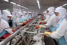 Vietnam, US ink antidumping duty agreement over Vietnamese shrimp