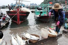Sustainable fishing slashes poverty