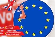 Dong insulated from Brexit fallout
