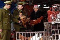 Ban imposed on poultry transport via border gates