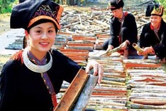 Yen Bai to hold Van Yen cinnamon festival in October