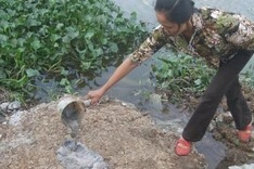 Fewer companies pay wastewater charge