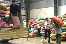 Coffee businesses face difficulties with speculation, competition