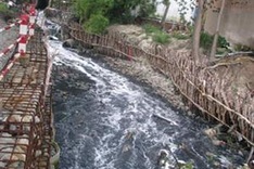 World Bank backs green projects